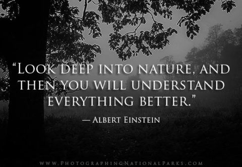 Nature & Photography Quotes | Photographing National Parks