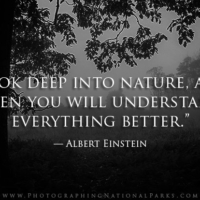 Nature & Photography Quotes | Photographing National Parks